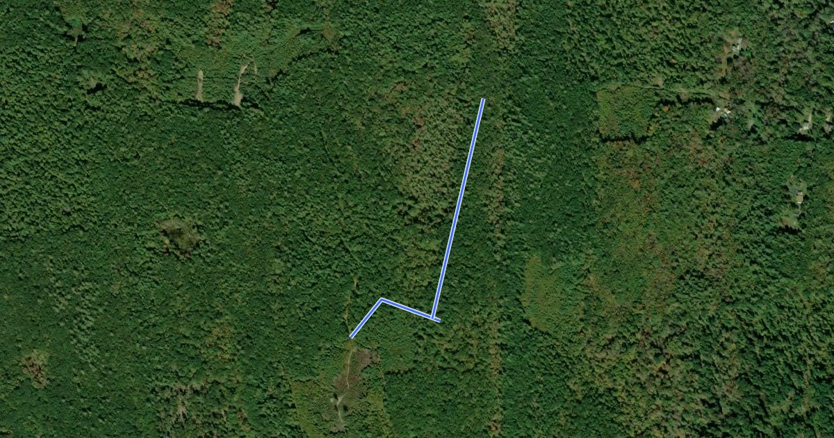 Маршрут Loop Trail на спутниковом снимке