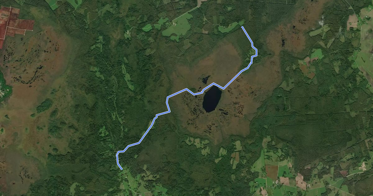 Маршрут Loosalu-Paluküla matkarada на спутниковом снимке
