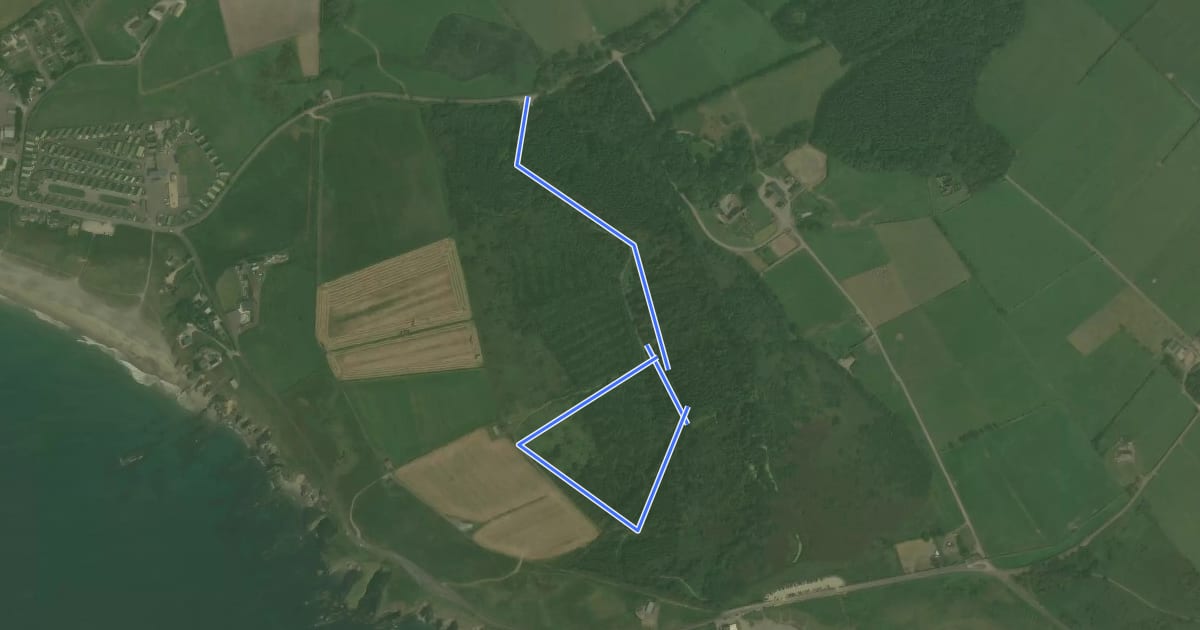 Маршрут Lord Carbery's Cross Trail на спутниковом снимке