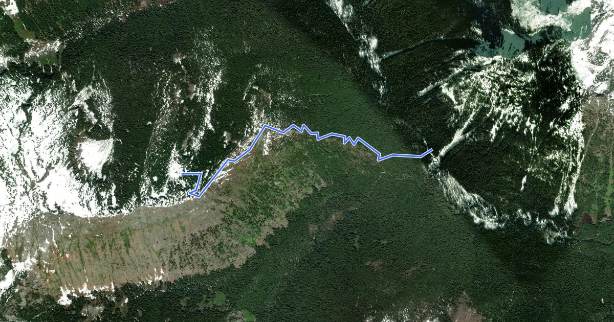 Маршрут Lorraine Ridge Trail на спутниковом снимке