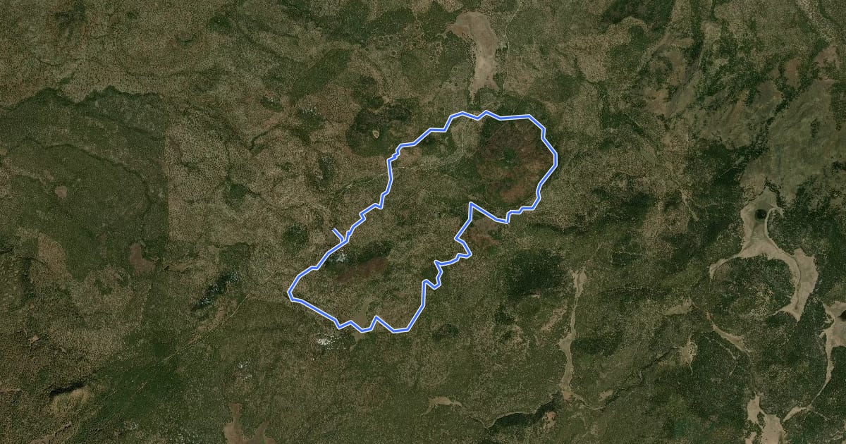 Маршрут Los Burros Trail на спутниковом снимке