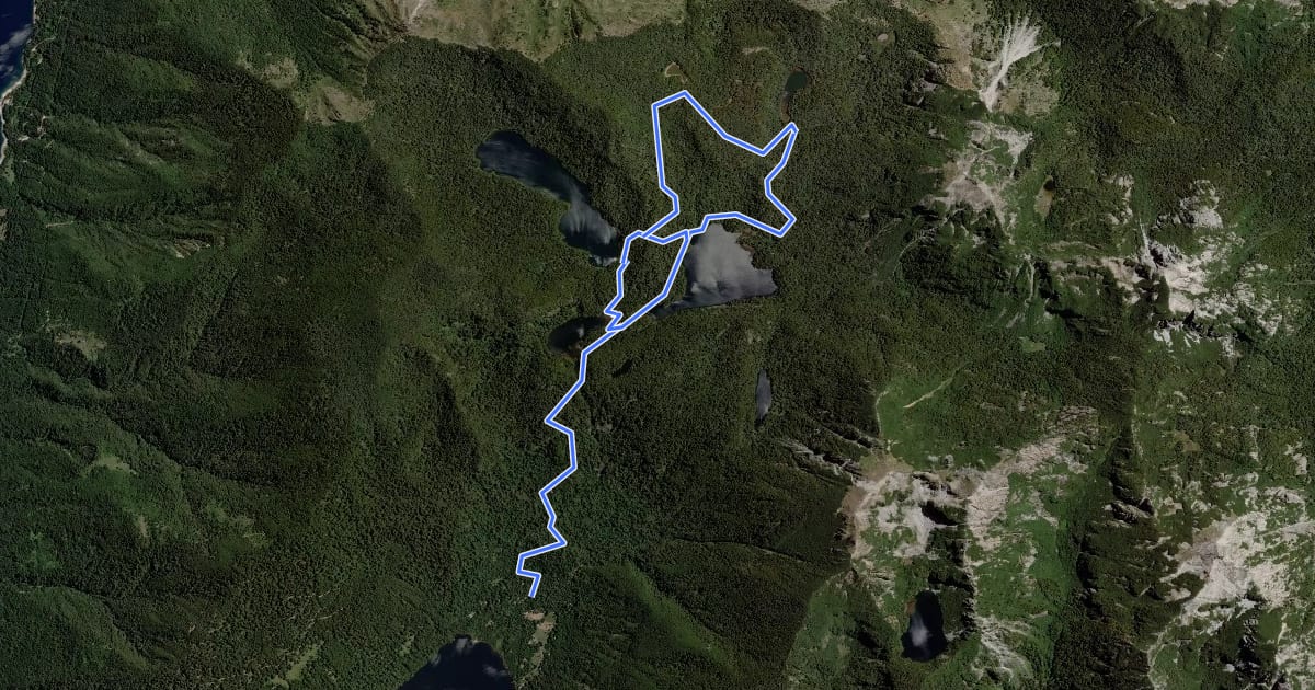 Маршрут Los Lagos на спутниковом снимке