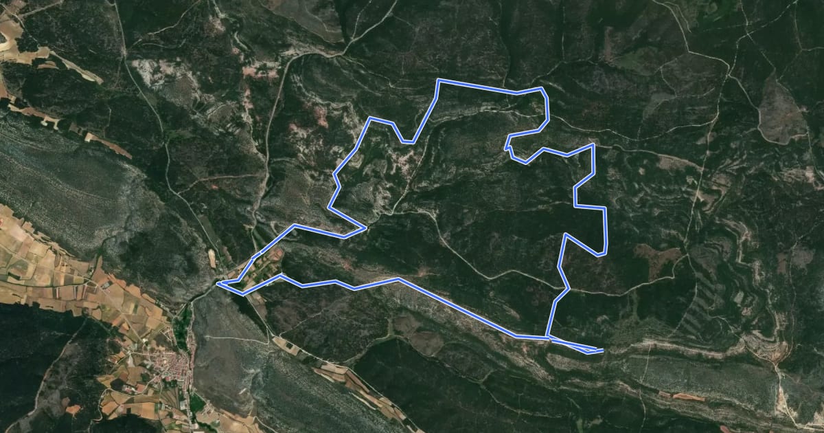 Маршрут Los Pinares на спутниковом снимке