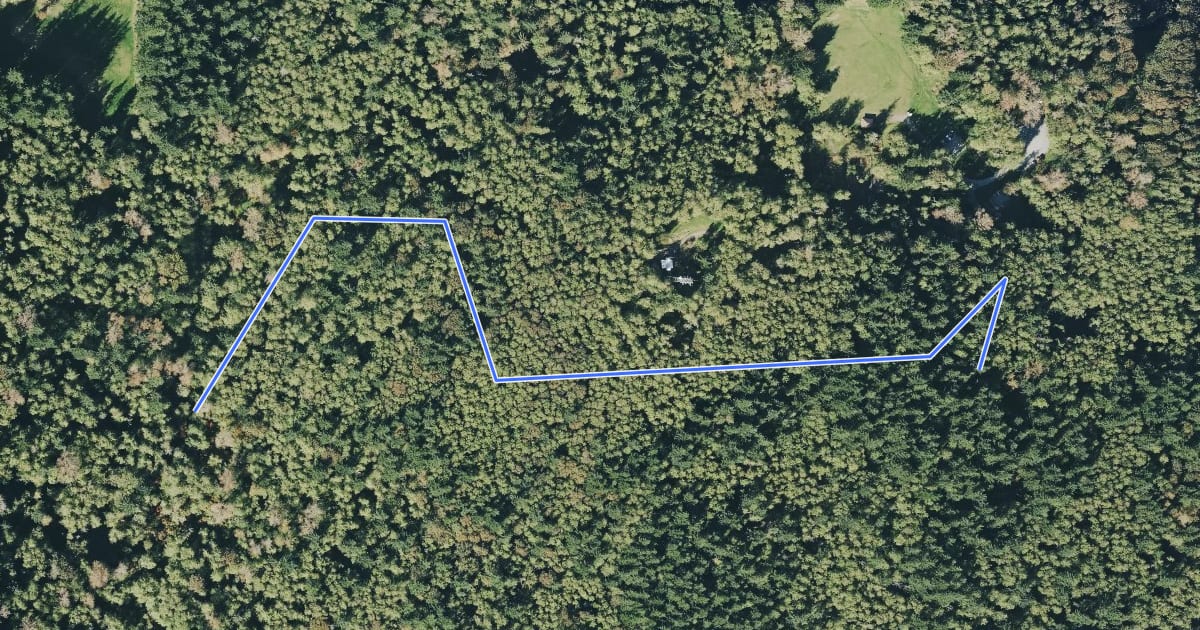 Маршрут Lost Beagle Trail на спутниковом снимке