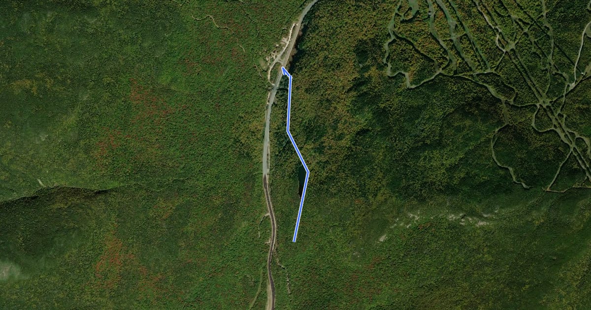 Маршрут Lost Pond Trail на спутниковом снимке