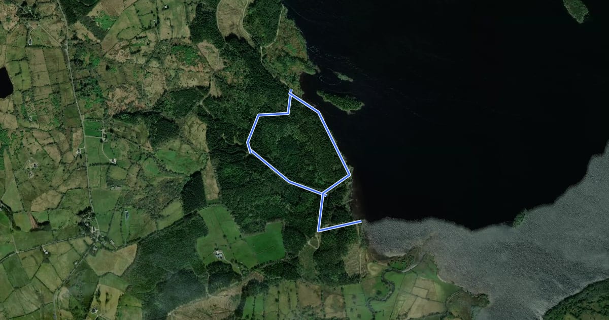 Маршрут Lough MacNean Walk на спутниковом снимке