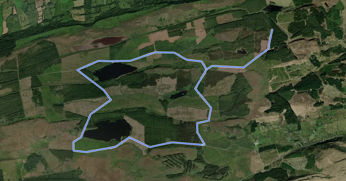 Маршрут Lough Navar Lakes Walk на спутниковом снимке