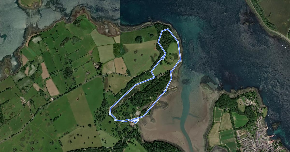 Маршрут Loughside Walk at Castle Ward на спутниковом снимке