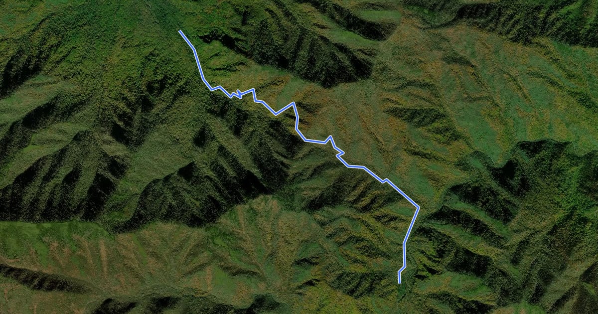 Маршрут Low Gap Trail на спутниковом снимке