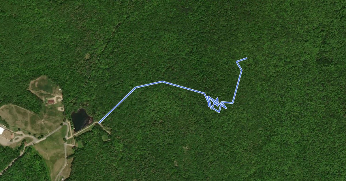 Маршрут Lower Bridle Path на спутниковом снимке