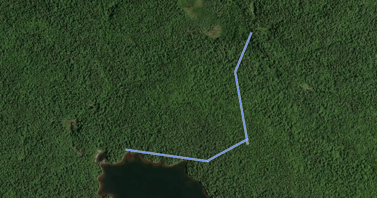 Маршрут Lower Fowler Pond Trail на спутниковом снимке