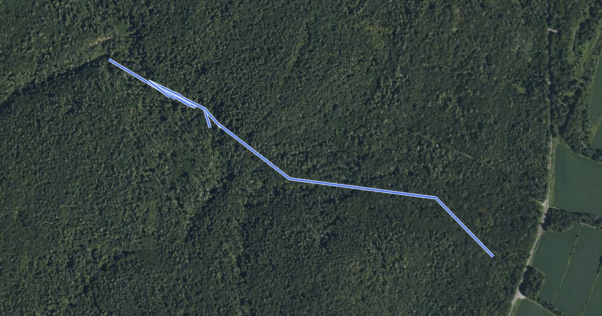 Маршрут Lower Hornbecks Trail на спутниковом снимке