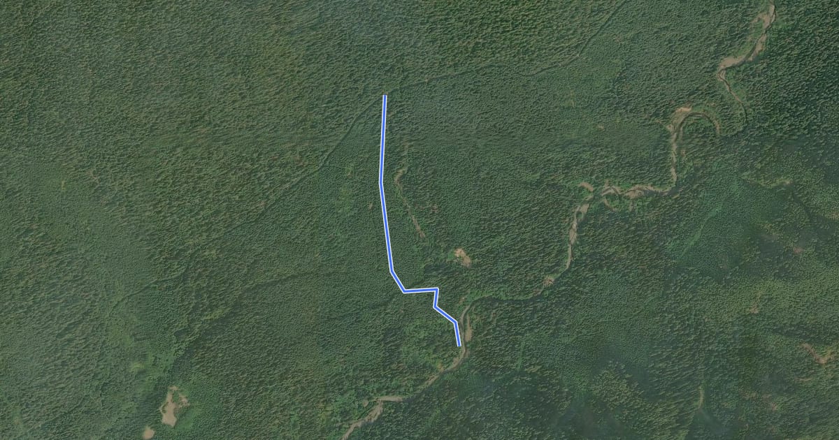 Маршрут Lower Pete's Creek Trail #858.1 на спутниковом снимке