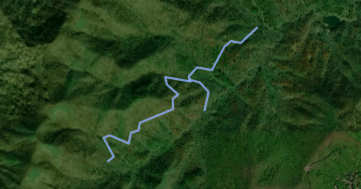 Маршрут Lower Sidehill Trail на спутниковом снимке