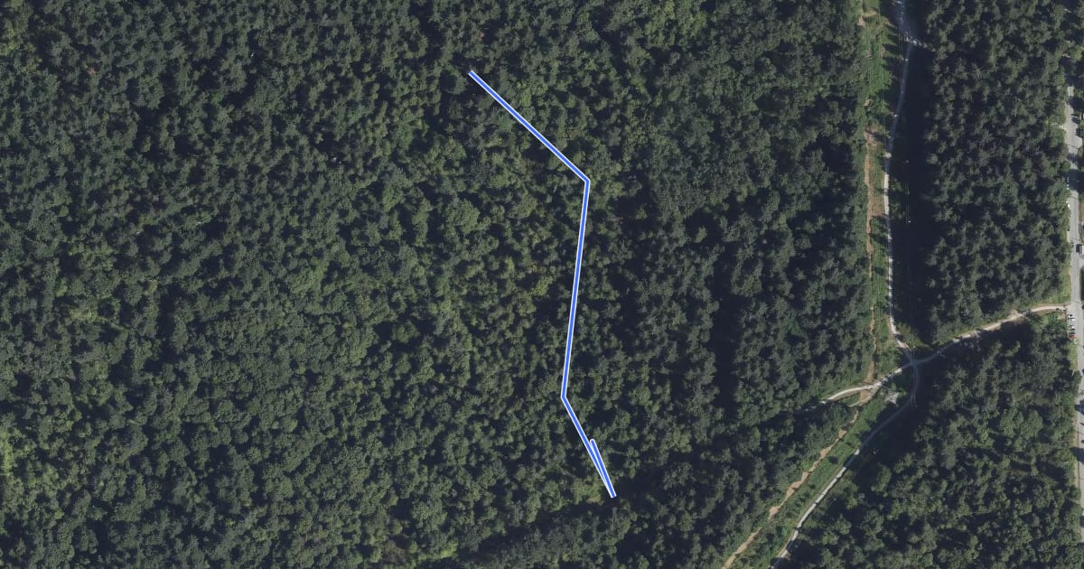 Маршрут Lower Snake Trail на спутниковом снимке