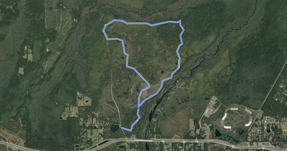 Маршрут Lower Wekiva Loop - West 9mi на спутниковом снимке