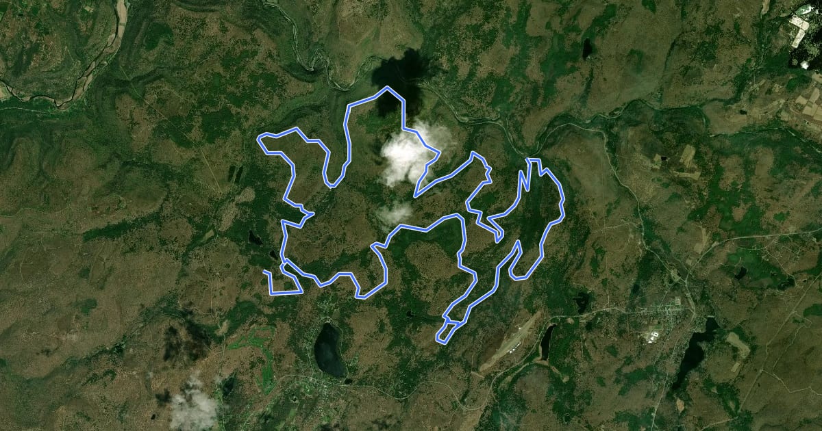 Маршрут Loyalsock East Loop на спутниковом снимке