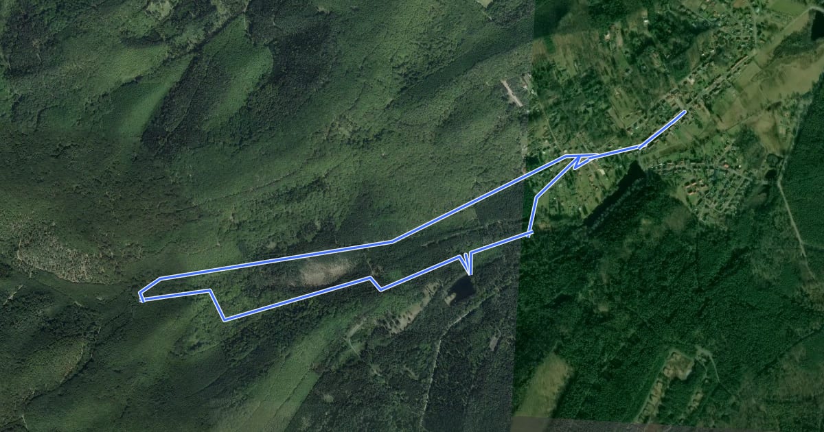 Маршрут Ludwigswinkel Rundweg 5 на спутниковом снимке