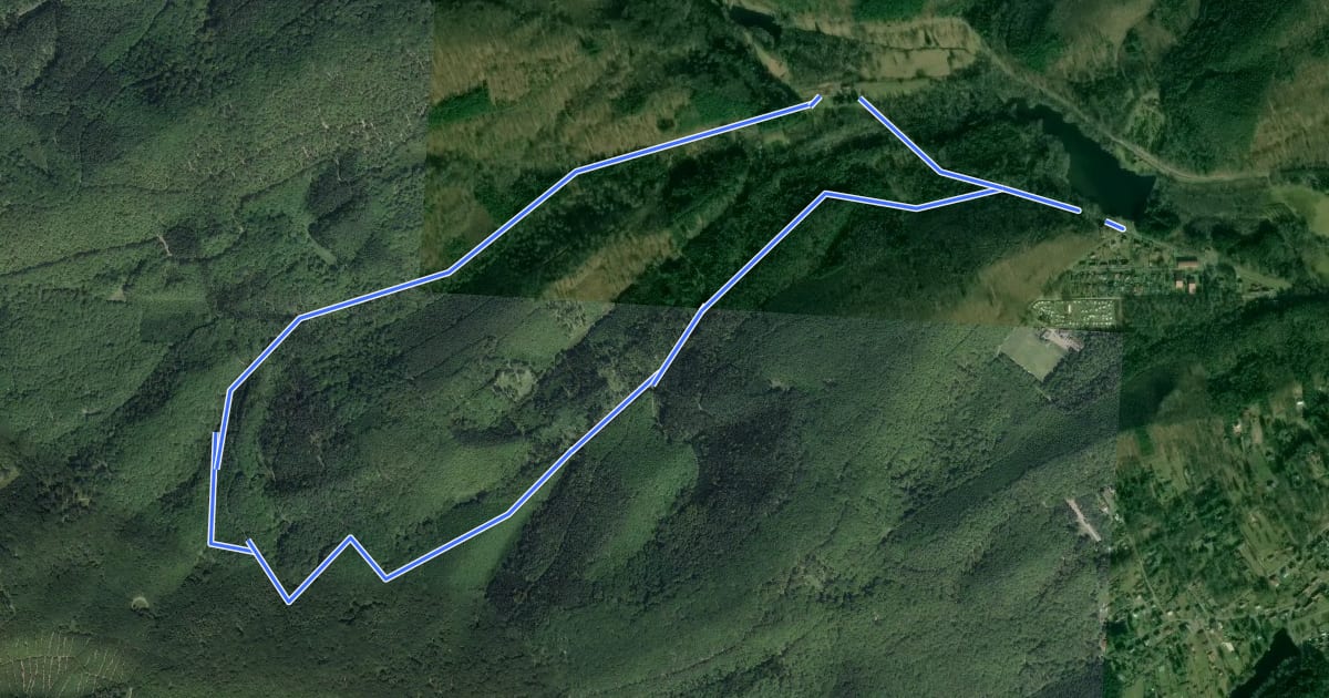 Маршрут Ludwigswinkel Rundweg 7 на спутниковом снимке