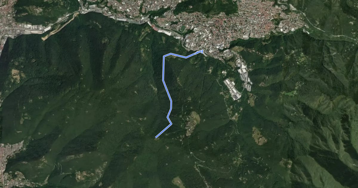 Маршрут Lumezzane (Faidana) - Innesto Sentiero 371 на спутниковом снимке