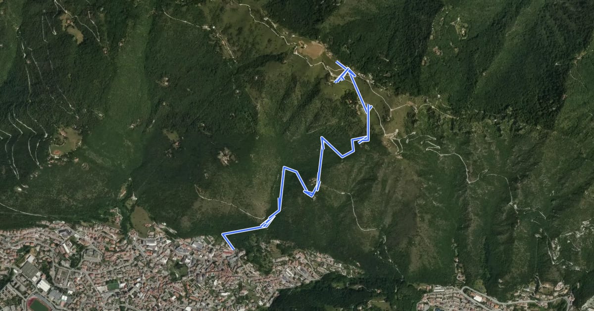 Маршрут Lumezzane (Fontana) - Monte Dossone на спутниковом снимке