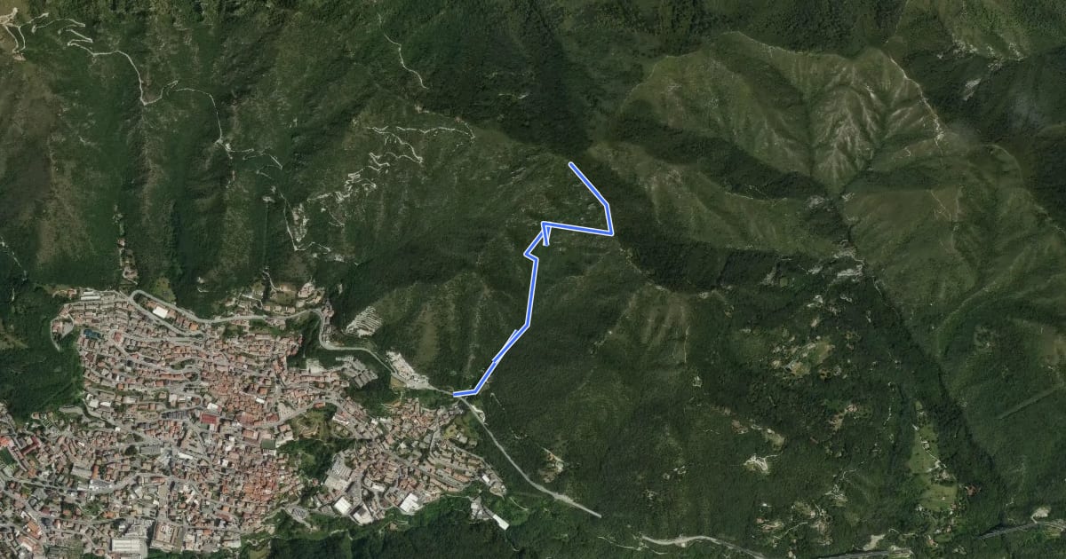 Маршрут Lumezzane (Mosniga) - Punta Camoghera на спутниковом снимке