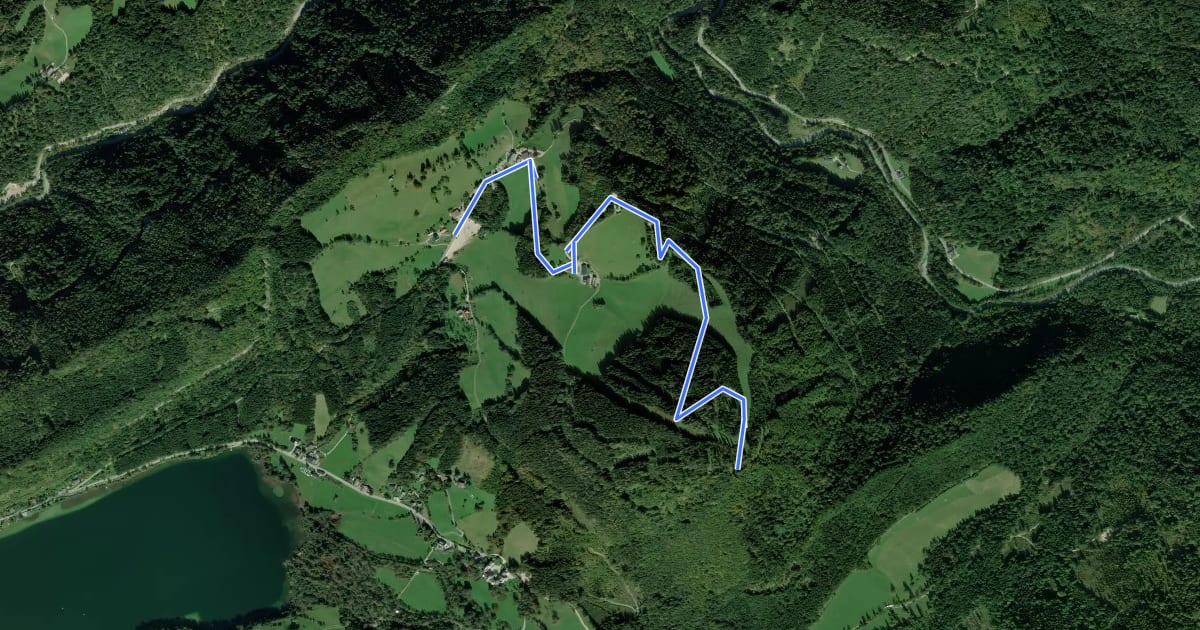 Маршрут Lunz am See, Almgasthaus Rehberg - Maißzinken на спутниковом снимке
