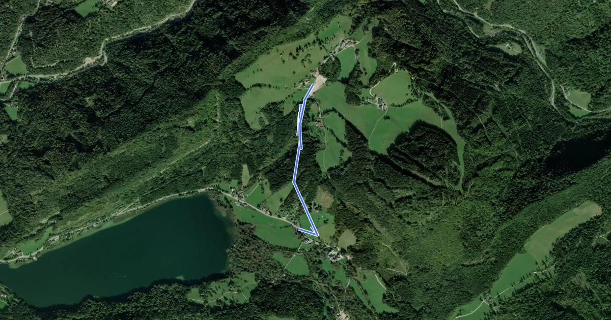 Маршрут Lunz am See, Parkplatz Biologische Station - Almgasthaus Rehberg на спутниковом снимке