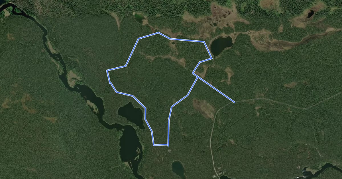 Маршрут Luontopolku на спутниковом снимке