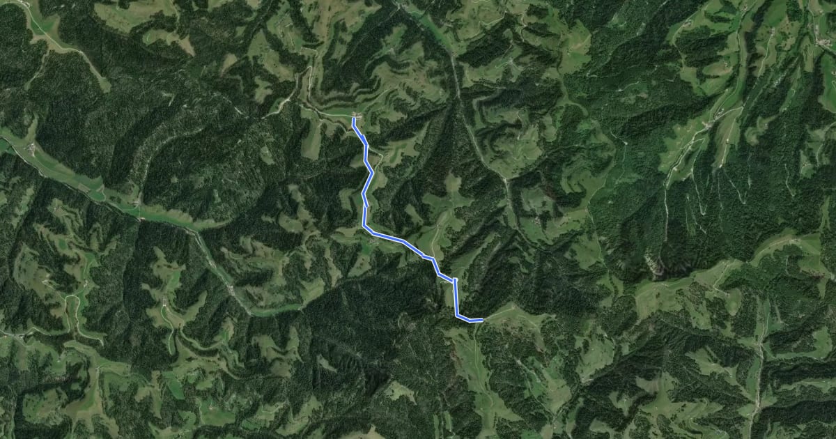 Маршрут Lushüttenalp - Hinderarni на спутниковом снимке