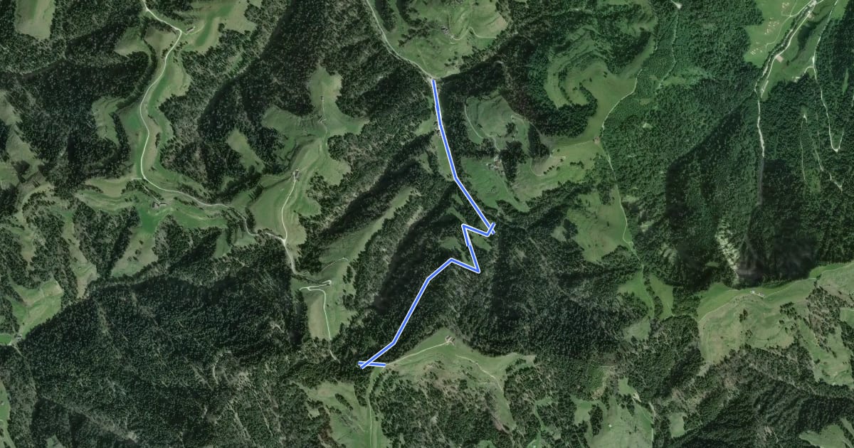 Маршрут Lushüttenalp - Riedbad на спутниковом снимке