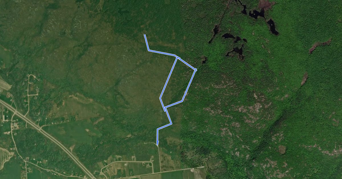 Маршрут Luskville Falls Trail на спутниковом снимке