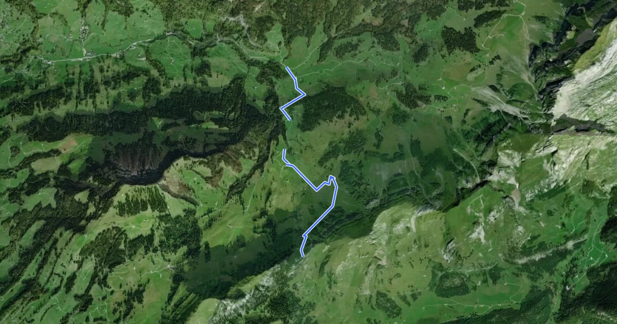 Маршрут Lutertannen-Windenpass на спутниковом снимке