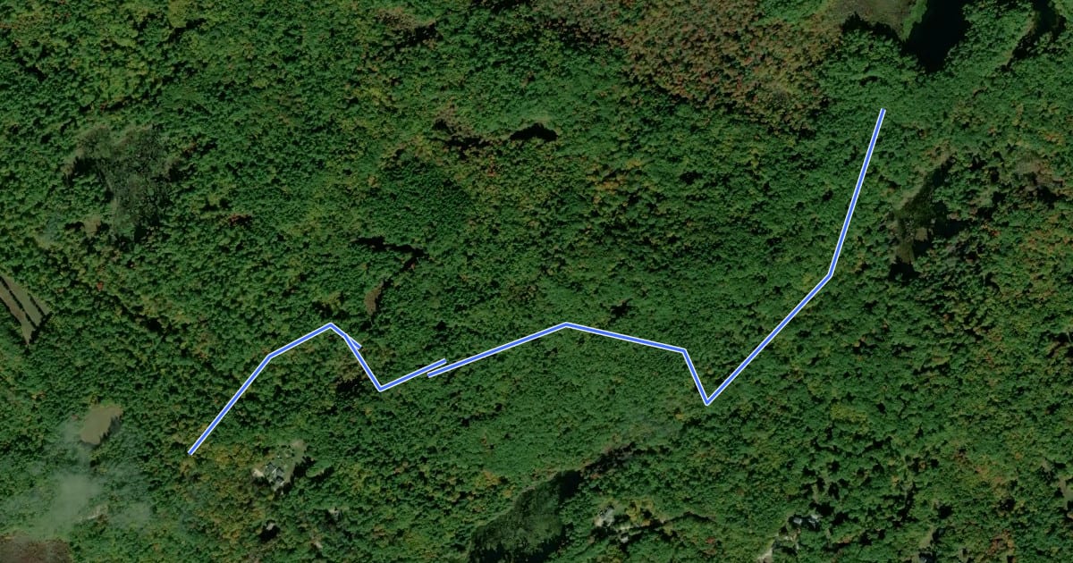 Маршрут Lynx Trail на спутниковом снимке