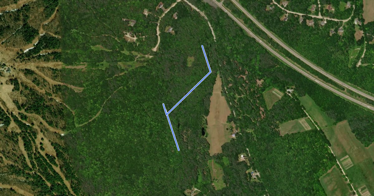 Маршрут Lyon Brook Trail на спутниковом снимке