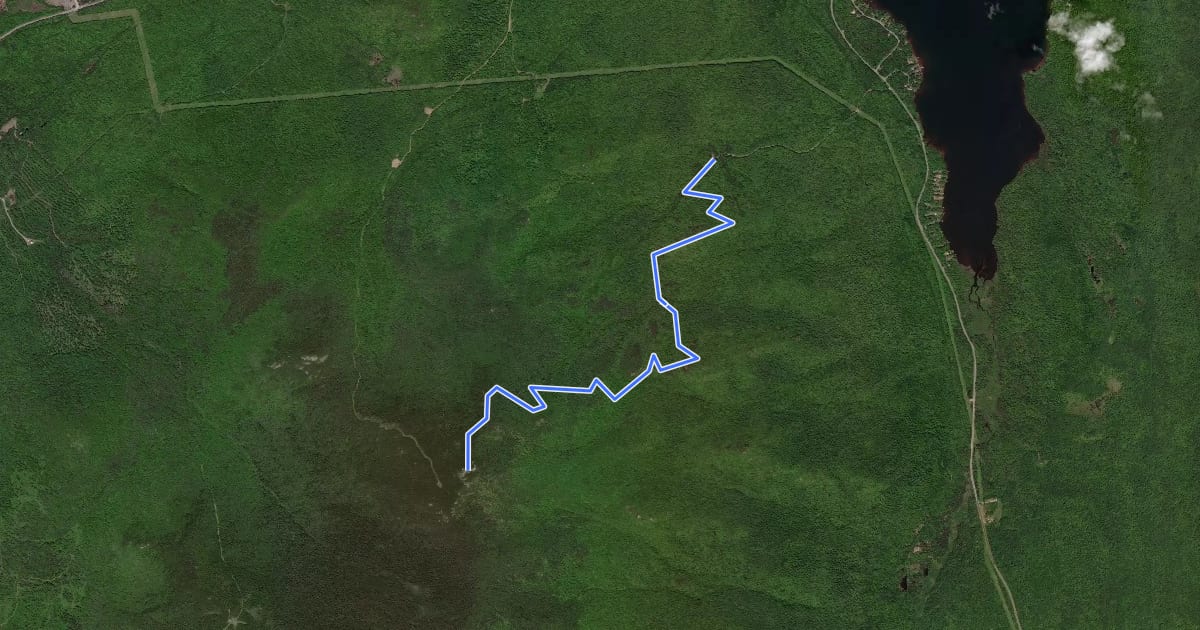 Маршрут Lyon Mountain Trail на спутниковом снимке