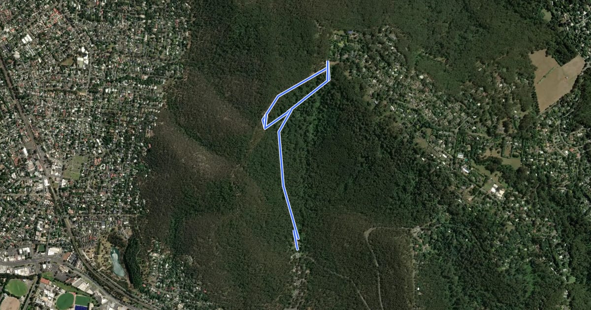 Маршрут Lyrebird Loop на спутниковом снимке