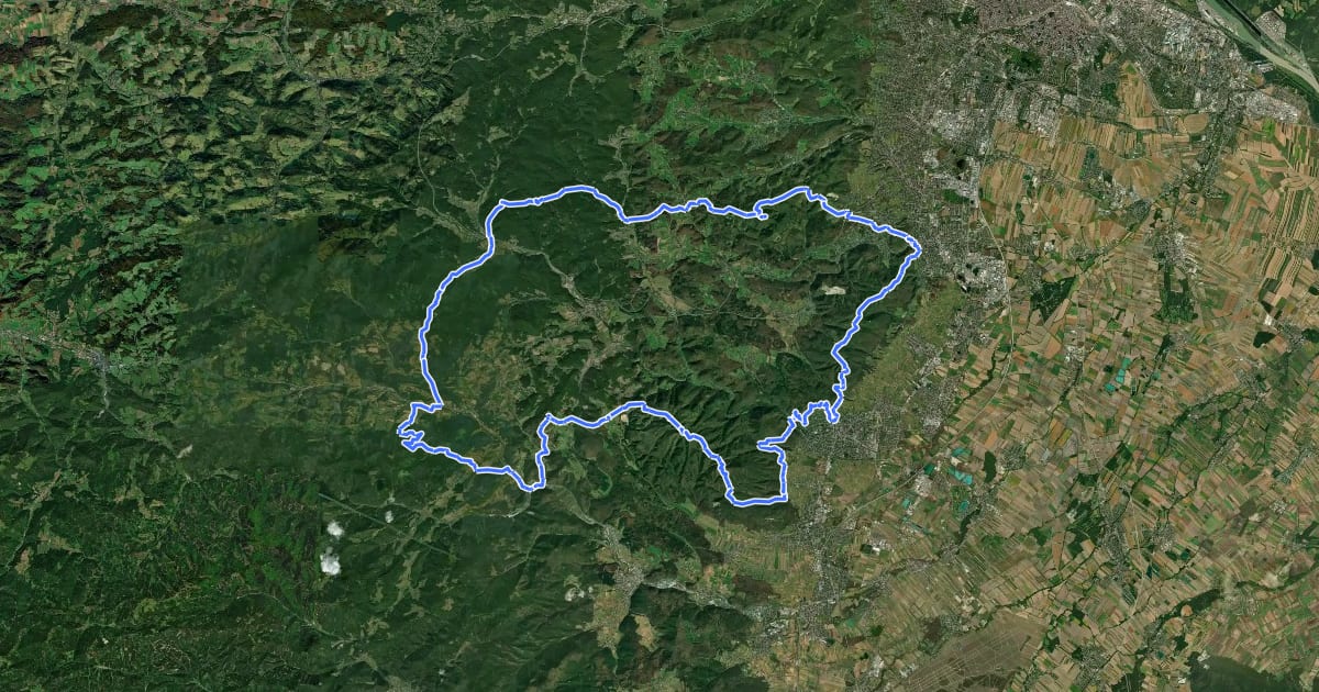 Маршрут Mödlinger Rundwanderweg на спутниковом снимке