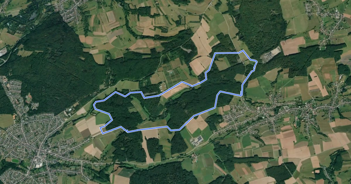 Маршрут Mühlenbach-Schluchten-Tour на спутниковом снимке