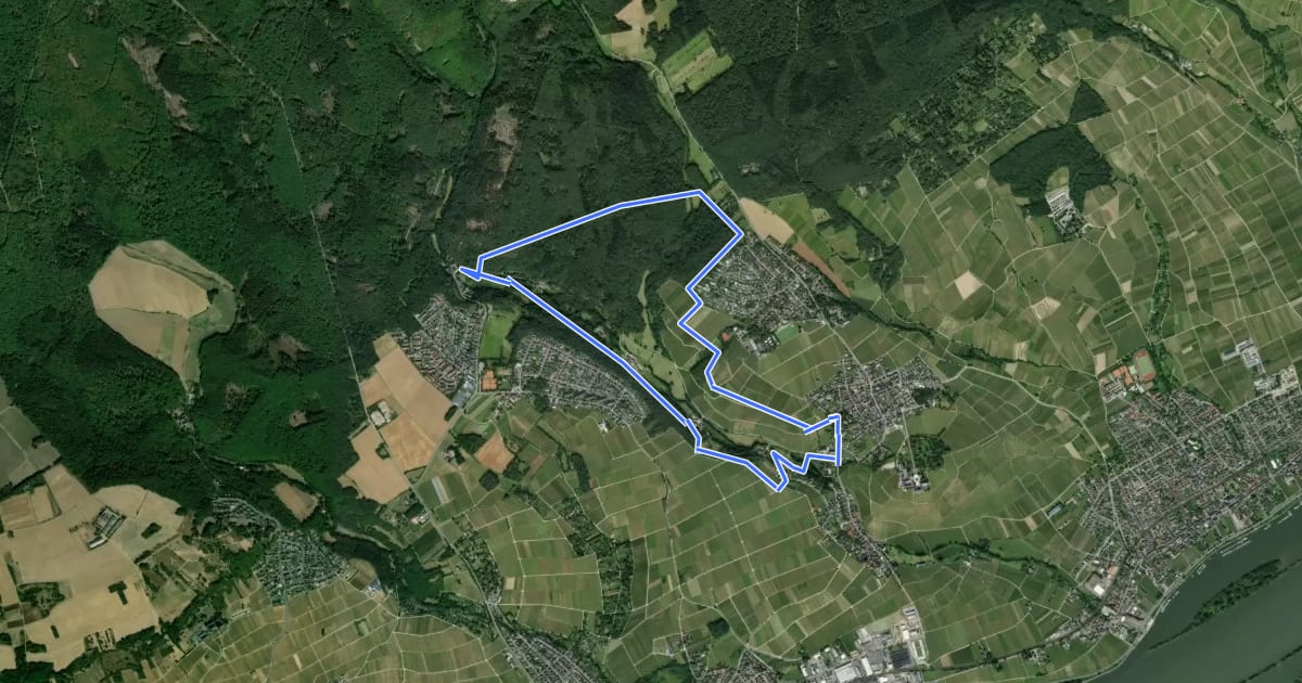 Маршрут Mühlenwanderweg im Elsterbachtal Waldrunde на спутниковом снимке