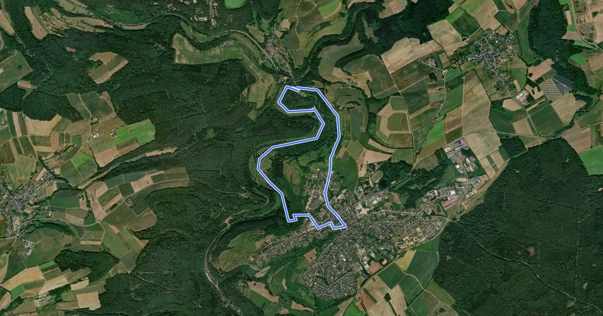 Маршрут Mühlenweg на спутниковом снимке