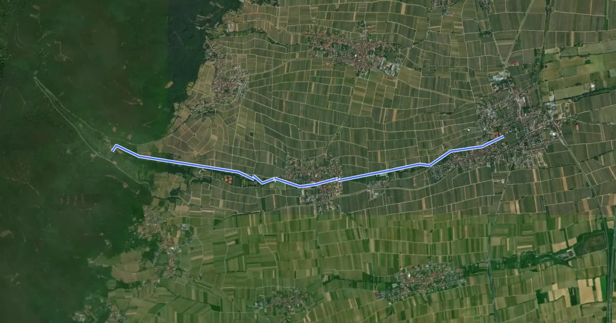 Маршрут Mühlenweg Edesheim на спутниковом снимке