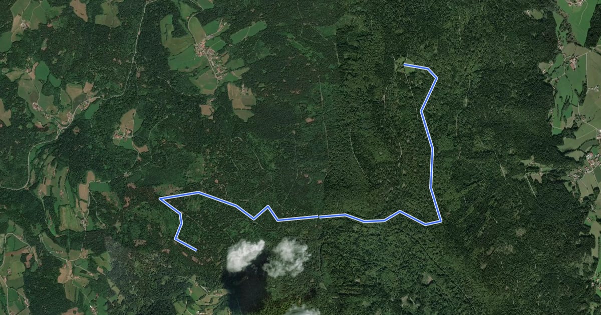 Маршрут Mühlgrabenweg на спутниковом снимке