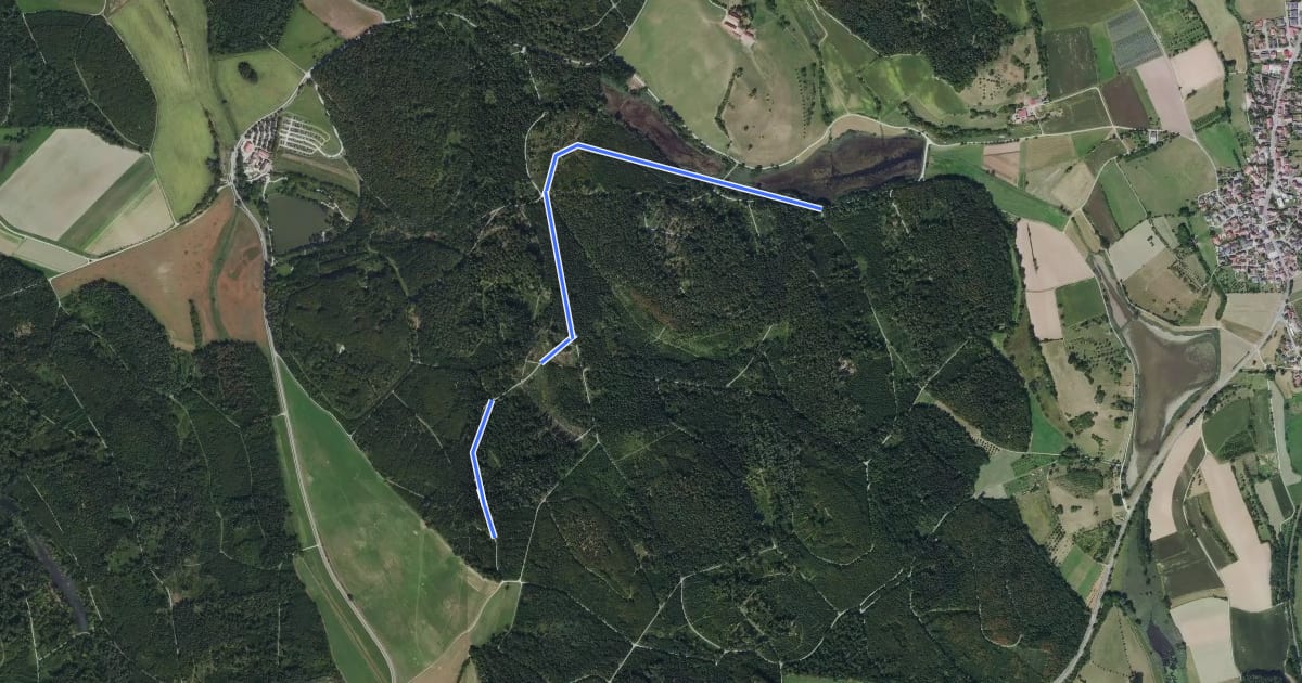 Маршрут Mühlhofen - Martinsweiher на спутниковом снимке