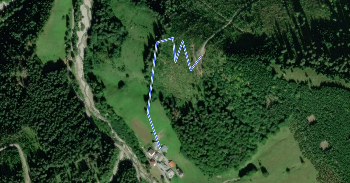 Маршрут Mühlwaldtrail на спутниковом снимке