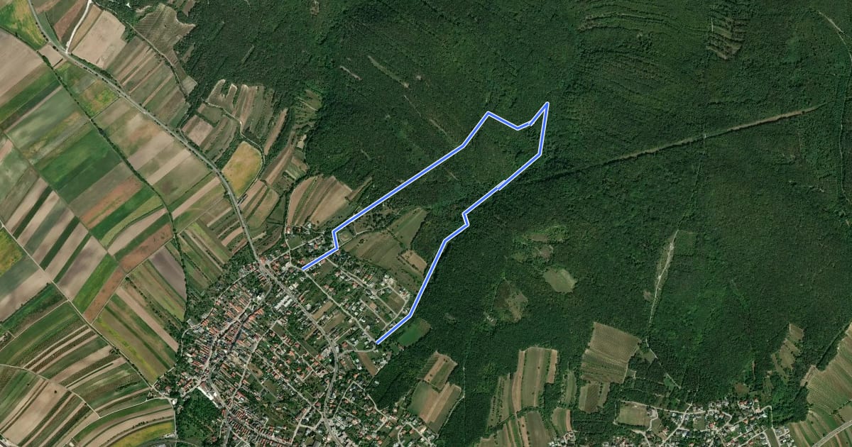 Маршрут Müllendorfer Naturlehrpfad на спутниковом снимке