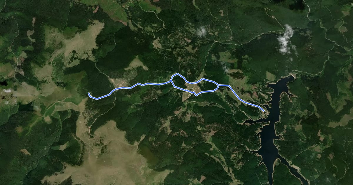 Маршрут Mănăstirea Oașa - Luncile Prigoanei - Cabana Șureanu - Lacul Șureanu на спутниковом снимке