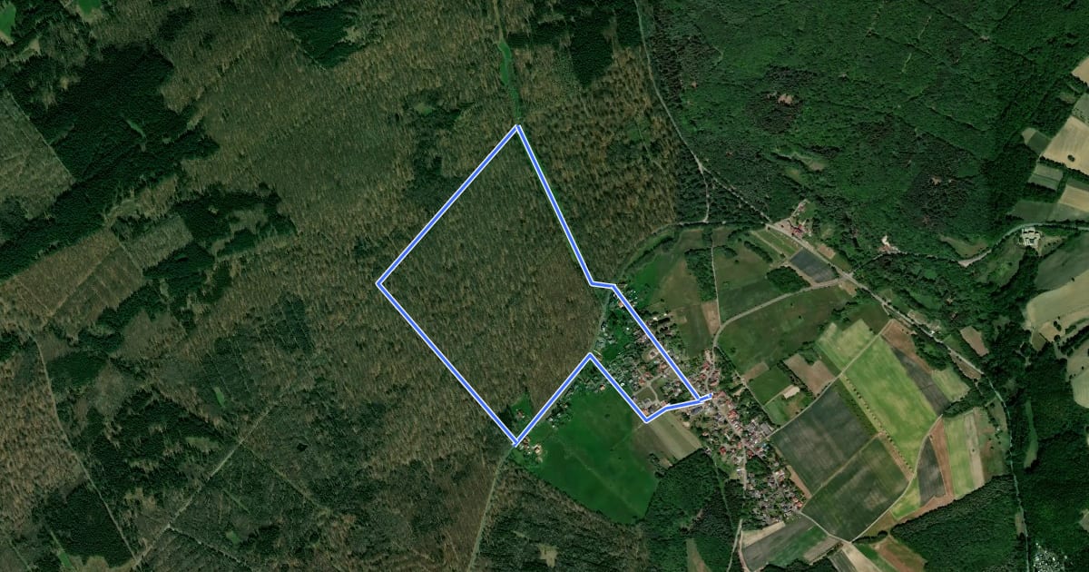 Маршрут Münchwald Rundwanderweg Grün на спутниковом снимке