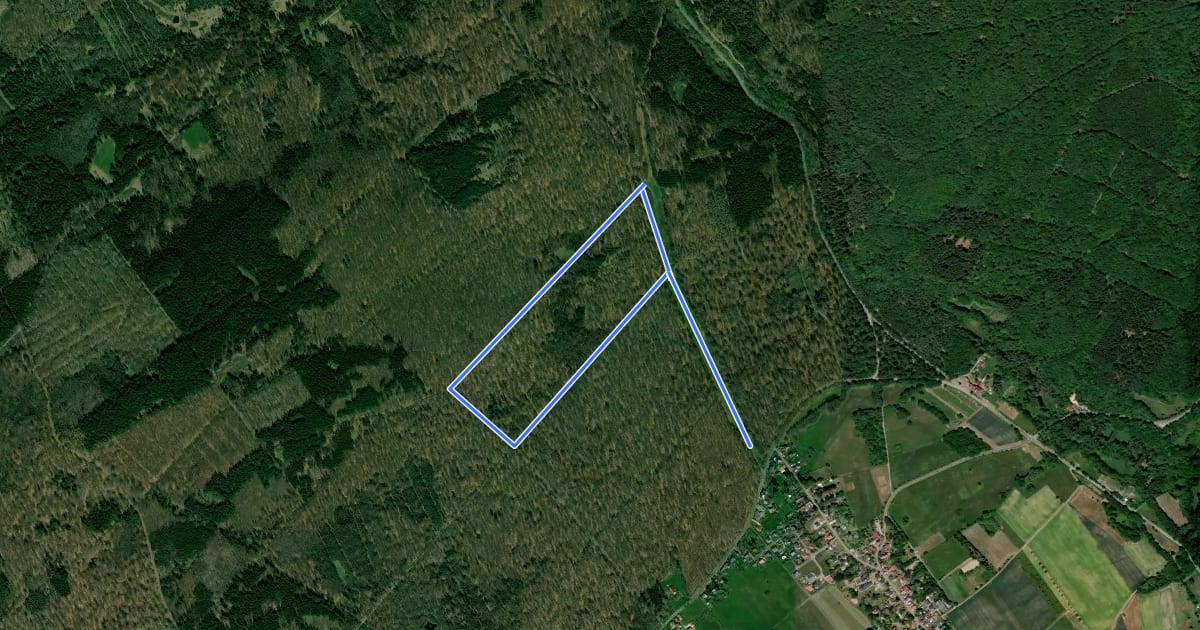 Маршрут Münchwald Rundwanderweg Rot на спутниковом снимке