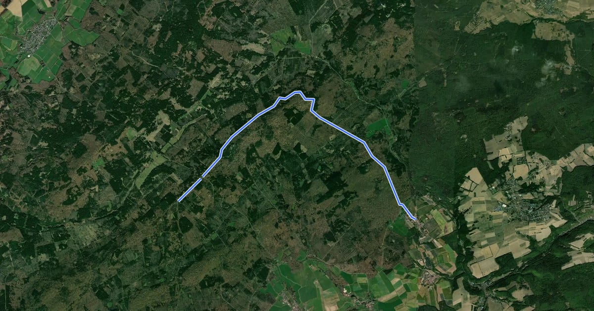 Маршрут Münchwald-Trifthütte на спутниковом снимке